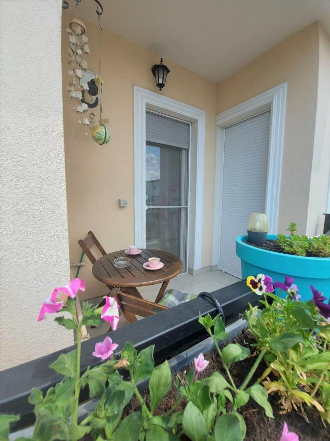 Paula Apartment Dumbravita  外观 照片